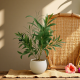 Artificial Plant